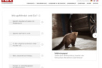 web_bm_05_20_how_to_09